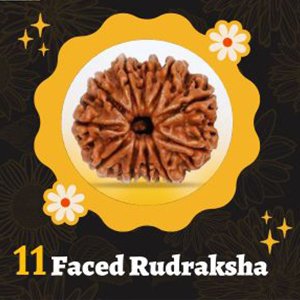 11 मुखी रुद्राक्ष| Rudraksha|