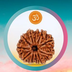 11 मुखी रुद्राक्ष 11 मुखी रुद्राक्ष| 11 faced rudraksha| रुद्राक्ष|