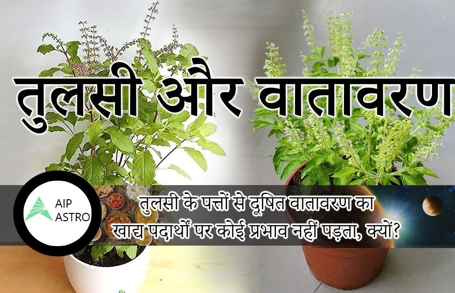 ग्रहण और तुलसी