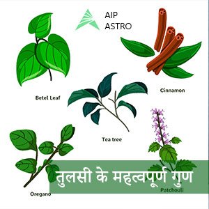 ग्रहण के दौरान भोजन में क्यों डाली जाती है तुलसी?| ग्रहण और तुलसी| 